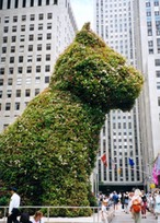 NYC Rockefeller Center.jpg